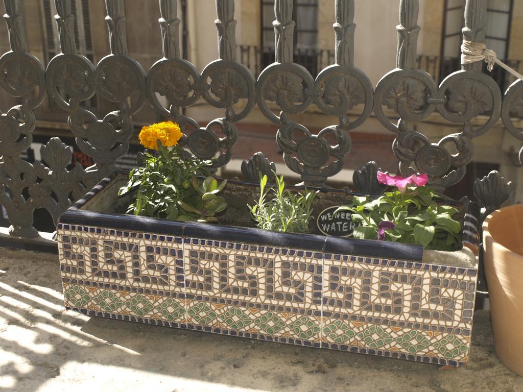 Apartament Centre Ciutat Διαμέρισμα Ταραγόνα Εξωτερικό φωτογραφία
